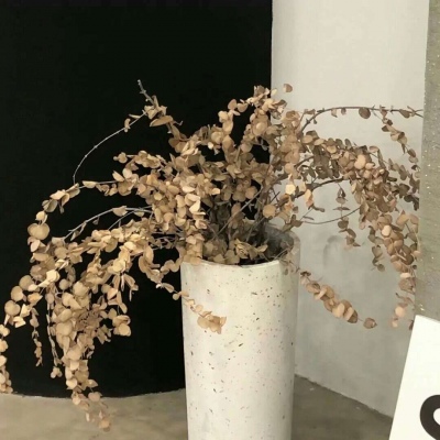 兽设线稿上色教程福瑞群